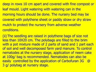 deep in rows 10 cm apart and covered with fine compost or
leaf mould. Light watering with watering can in the
morning hours should be done. The nursery bed may be
covered with polythene sheet or paddy straw or dry straw
mulch to protect the nursery from adverse weather
conditions.
(ii) The seedling are raised in polythene bags of size not
less than 10X20 cm. The polybags are filled to the brim
with a pot mixture made of 2 parts of sand and 1 part each
of soil and well decomposed farm yard manure. To control
nematodes at the nursery stage, application of neem cake
at 100g/ bag is recommended. Nematodes can also be
easily controlled by the application of Carbofuran 3G @
3 g/ polybag at nursery stage.
 