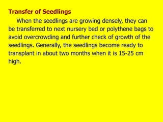 Transfer of Seedlings
When the seedlings are growing densely, they can
be transferred to next nursery bed or polythene bags to
avoid overcrowding and further check of growth of the
seedlings. Generally, the seedlings become ready to
transplant in about two months when it is 15-25 cm
high.
 