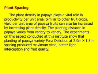 Plant Spacing
The plant density in papaya plays a vital role in
productivity per unit area. Similar to other fruit crops,
yield per unit area of papaya fruits can also be increased
by increasing plant density. The planting distance in
papaya varies from variety to variety. The experiments
on this aspect conducted at this institute show that
planting of papaya variety Pusa Delicious at 2.0m X 1.8m
spacing produced maximum yield, better light
interception and fruit quality.
 