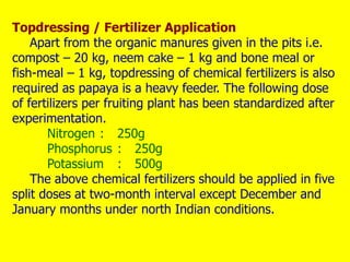Topdressing / Fertilizer Application
Apart from the organic manures given in the pits i.e.
compost – 20 kg, neem cake – 1 kg and bone meal or
fish-meal – 1 kg, topdressing of chemical fertilizers is also
required as papaya is a heavy feeder. The following dose
of fertilizers per fruiting plant has been standardized after
experimentation.
Nitrogen : 250g
Phosphorus : 250g
Potassium : 500g
The above chemical fertilizers should be applied in five
split doses at two-month interval except December and
January months under north Indian conditions.
 