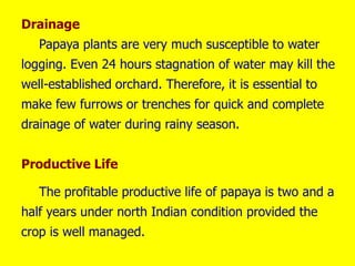Drainage
Papaya plants are very much susceptible to water
logging. Even 24 hours stagnation of water may kill the
well-established orchard. Therefore, it is essential to
make few furrows or trenches for quick and complete
drainage of water during rainy season.
Productive Life
The profitable productive life of papaya is two and a
half years under north Indian condition provided the
crop is well managed.
 