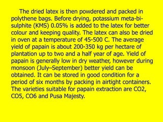 The dried latex is then powdered and packed in
polythene bags. Before drying, potassium meta-bi-
sulphite (KMS) 0.05% is added to the latex for better
colour and keeping quality. The latex can also be dried
in oven at a temperature of 45-500 C. The average
yield of papain is about 200-350 kg per hectare of
plantation up to two and a half year of age. Yield of
papain is generally low in dry weather, however during
monsoon (July–September) better yield can be
obtained. It can be stored in good condition for a
period of six months by packing in airtight containers.
The varieties suitable for papain extraction are CO2,
CO5, CO6 and Pusa Majesty.
 