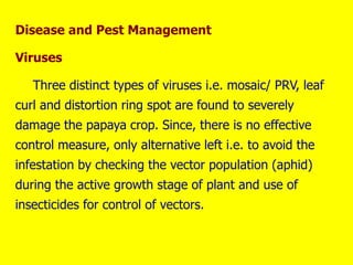 Disease and Pest Management
Viruses
Three distinct types of viruses i.e. mosaic/ PRV, leaf
curl and distortion ring spot are found to severely
damage the papaya crop. Since, there is no effective
control measure, only alternative left i.e. to avoid the
infestation by checking the vector population (aphid)
during the active growth stage of plant and use of
insecticides for control of vectors.
 
