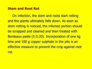Stem and Root Rot
On infection, the stem and roots start rotting
and the plants ultimately falls down. As soon as
stem rotting is noticed, the infected portion should
be scrapped and cleaned and then treated with
Bordeaux paste (5:5:20). Incorporation of one kg
lime and 100 g copper sulphate in the pits is an
effective measure to prevent the crop against root
rot.
 