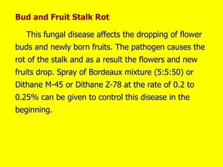 Bud and Fruit Stalk Rot
This fungal disease affects the dropping of flower
buds and newly born fruits. The pathogen causes the
rot of the stalk and as a result the flowers and new
fruits drop. Spray of Bordeaux mixture (5:5:50) or
Dithane M-45 or Dithane Z-78 at the rate of 0.2 to
0.25% can be given to control this disease in the
beginning.
 