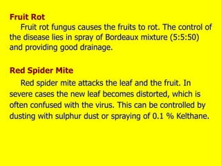 Fruit Rot
Fruit rot fungus causes the fruits to rot. The control of
the disease lies in spray of Bordeaux mixture (5:5:50)
and providing good drainage.
Red Spider Mite
Red spider mite attacks the leaf and the fruit. In
severe cases the new leaf becomes distorted, which is
often confused with the virus. This can be controlled by
dusting with sulphur dust or spraying of 0.1 % Kelthane.
 
