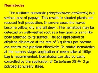Nematodes
The reniform nematode (Rotylenchulus reniformis) is a
serious pest of papaya. This results in stunted plants and
reduced fruit production. In severe cases the leaves
become yellow, dry and fall down. The nematode may be
detected on well-washed root as a tiny grain of sand like
body attached to its surface. The soil application of
ethylene dibromide at the rate of 3 quintals per hectare
can control this problem effectively. To control nematodes
at the nursery stage, application of neem cake at 100g/
bag is recommended. Nematodes can also be easily
controlled by the application of Carbofuran 3G @ 3 g/
polybag at nursery stage.
 