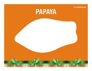 Synaa Papaya Soap - The Skin Whitening Soap
