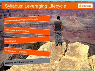 Syllabus: Leveraging Lifecycle




                 freedigitalphotos.net
                                         http://exotic-wow.blogspot.co.uk/2012/07/grand-canyon.html
 