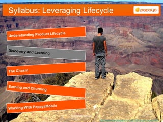 Syllabus: Leveraging Lifecycle




                 freedigitalphotos.net
                                         http://exotic-wow.blogspot.co.uk/2012/07/grand-canyon.html
 