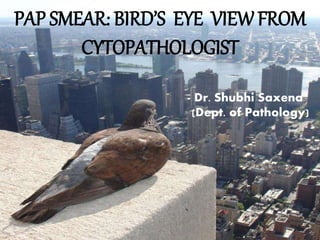 PAP SMEAR: BIRD’S EYE VIEWFROM
CYTOPATHOLOGIST
- Dr. Shubhi Saxena
(Dept. of Pathology)
 