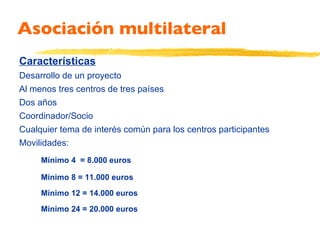 Asociación multilateral Características Desarrollo de un proyecto Al menos tres centros de tres países Dos años Coordinador/Socio Cualquier tema de interés común para los centros participantes Movilidades: • Mínimo 4  = 8.000 euros • Mínimo 8 = 11.000 euros • Mínimo 12 = 14.000 euros • Mínimo 24 = 20.000 euros 