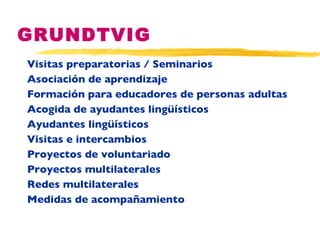 GRUNDTVIG Visitas preparatorias / Seminarios Asociación de aprendizaje Formación para educadores de personas adultas Acogida de ayudantes lingüísticos Ayudantes lingüísticos Visitas e intercambios Proyectos de voluntariado  Proyectos multilaterales Redes multilaterales Medidas de acompañamiento 