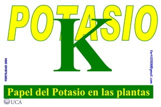 Papel del Potasio en las plantas POTASIO K 