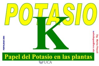 Papel del Potasio en las plantas POTASIO K 