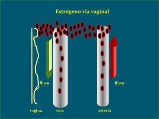 fluxo  fluxo  vagina veia artéria Estrógeno via vaginal 