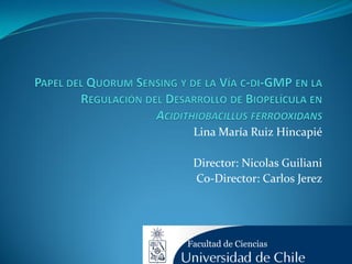 Lina María Ruiz Hincapié
Director: Nicolas Guiliani
Co-Director: Carlos Jerez
Facultad de Ciencias
 