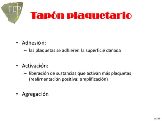 Tapón plaquetario

• Adhesión:
   – las plaquetas se adhieren la superficie dañada


• Activación:
   – liberación de sustancias que activan más plaquetas
     (realimentación positiva: amplificación)


• Agregación



                                                          Dr. JFF
 