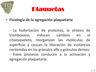 Plaquetas
• Fisiología de la agregación plaquetaria

  - La fosforilación de proteínas, la síntesis de
  tromboxano,      inducen     cambios      en    el
  citoesqueleto, reorganizan las moléculas de
  superficie y causan la liberación de sustancias
  contenidas en los gránulos alfa y gránulos densos.
  - Estos procesos conducen a la activación y
  agregación plaquetaria.

                                                       Dr. JFF
 