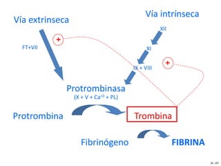 Vía intrínseca
Vía extrinseca
                                                   XII
           +
  FT+VII                                     XI


                                       IX + VIII
                                                     +

               Protrombinasa
                 (X + V + Ca+2 + PL)


Protrombina                            Trombina

                   Fibrinógeno                           FIBRINA
                                                                   Dr. JFF
 