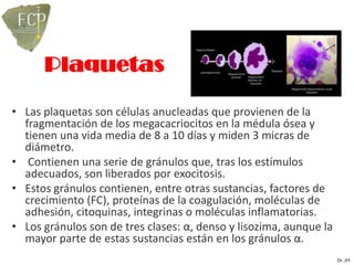Plaquetas

• Las plaquetas son células anucleadas que provienen de la
  fragmentación de los megacacriocitos en la médula ósea y
  tienen una vida media de 8 a 10 días y miden 3 micras de
  diámetro.
• Contienen una serie de gránulos que, tras los estímulos
  adecuados, son liberados por exocitosis.
• Estos gránulos contienen, entre otras sustancias, factores de
  crecimiento (FC), proteínas de la coagulación, moléculas de
  adhesión, citoquinas, integrinas o moléculas inflamatorias.
• Los gránulos son de tres clases: α, denso y lisozima, aunque la
  mayor parte de estas sustancias están en los gránulos α.
                                                                    Dr. JFF
 