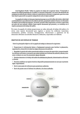OBJETIVO DE LOS PAPELES DE TRABAJO
 