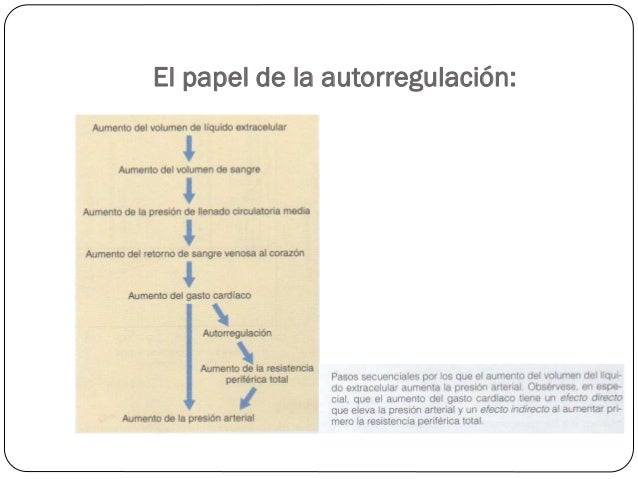 Ver las imágenes de origen