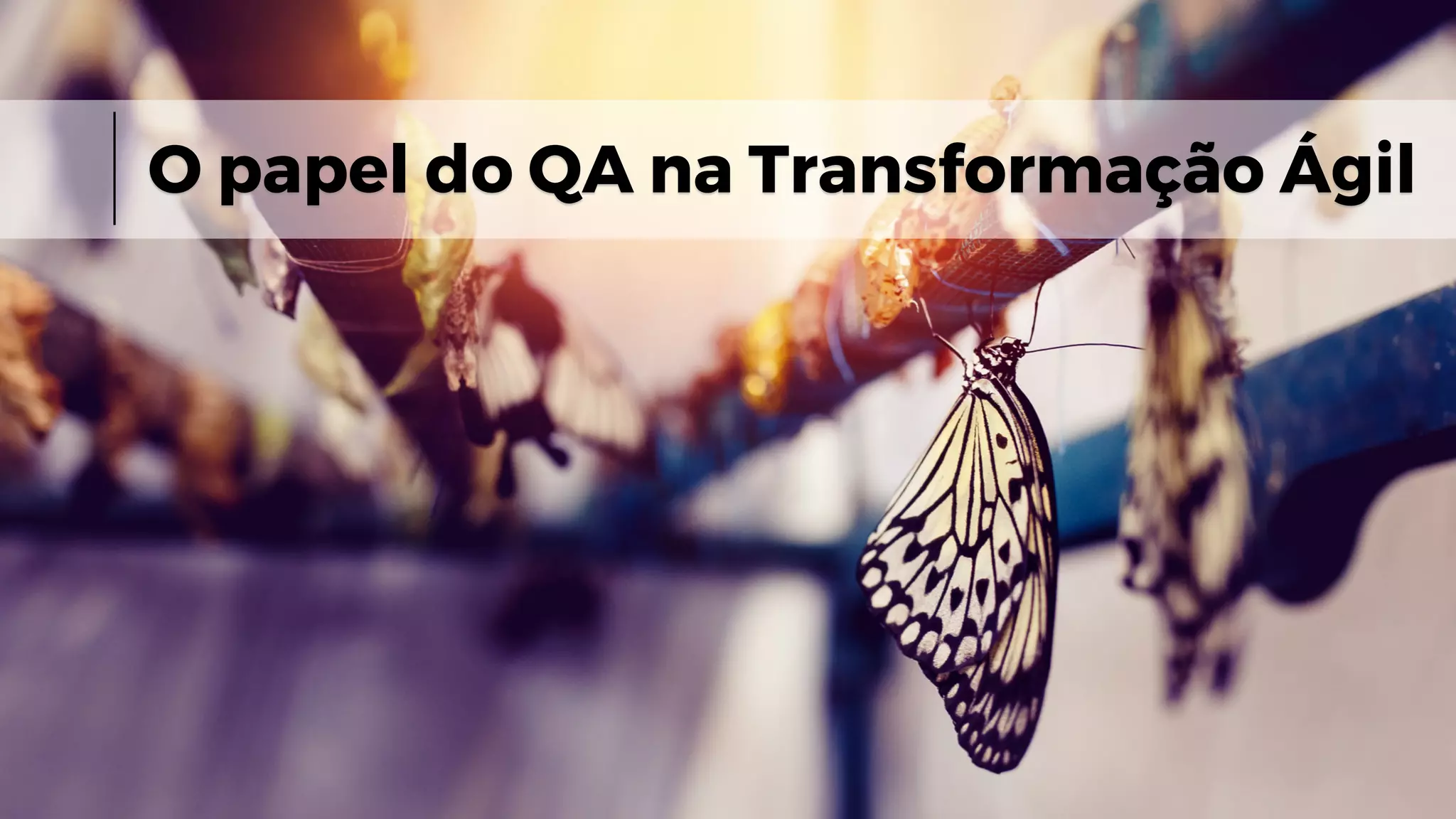O papel do QA na Transformação Ágil
 