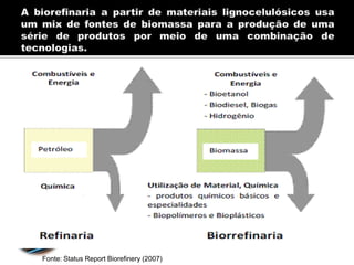 Fonte: Status Report Biorefinery (2007)
 