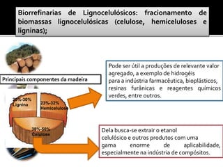 Biorrefinarias de Lignocelulósicos: fracionamento de
biomassas lignocelulósicas (celulose, hemiceluloses e
ligninas);
38%-50%
Celulose
25%-30%
Lignina 23%-32%
Hemicelulose
Principais componentes da madeira
Dela busca-se extrair o etanol
celulósico e outros produtos com uma
gama enorme de aplicabilidade,
especialmente na indústria de compósitos.
Pode ser útil a produções de relevante valor
agregado, a exemplo de hidrogéis
para a indústria farmacêutica, bioplásticos,
resinas furânicas e reagentes químicos
verdes, entre outros.
 