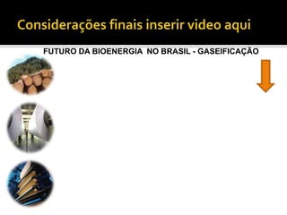 FUTURO DA BIOENERGIA NO BRASIL - GASEIFICAÇÃO
 
