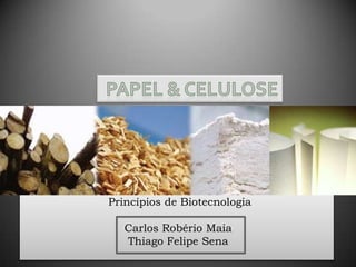 Princípios de Biotecnologia
Carlos Robério Maia
Thiago Felipe Sena
 