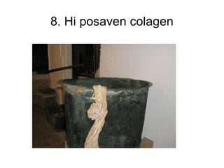 8. Hi posaven colagen 
