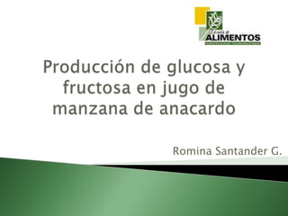 Romina Santander G.
 