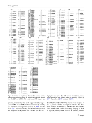 genomes, respectively. This result suggests that the single-
locus BrGMS and BoGMS markers conservatively amplify
loci from their source genome (Lowe et al. 2004; Suwabe
et al. 2008). However, one BoGMS (BoMGS0116) marker
was mapped in the A genome and 3 BrGMS (BrGMS2767,
BrGMS2901and BrGMS4450) markers were mapped in
the C genome. Further investigation indicated that these
four markers, BoMGS0116, BrGMS2767, BrGMS2901
and BrGMS4450, could successfully amplify in both
B. rapa (A genome) and B. oleracea (C genome) genomes
BrGMS30350
BrGMS30321
BrGMS13265
BrGMS13738
BrGMS13759
BrGMS066713
sR629315
BrGMS380619
BnGMS063528
BnGMS010334
BnGMS094541
BrGMS141161
BrGMS143674
BrGMS385475
BrGMS380776
BrGMS006083
BrGMS134388
A2 BnEMS00560
BrGMS15623
BrGMS25056
BrGMS299811
BrGMS262816
cnu_m316a20
sR1164422
BRMS-04226
BRMS-05028
BrGMS358230
BrGMS147431
BoGMS173439
BrGMS073449
BrGMS028351
BrGMS308055
BrGMS1490BrGMS158856
BnEMS072759
BrGMS390674
BrGMS221076
BrGMS329178
BrGMS329079
BrGMS304185
BrGMS268786
BrGMS404691
BnEMS047294
BrGMS3199101
BrGMS3126102
BrGMS3124BrGMS3125104
BoGMS2594108
BrGMS3103113
BrGMS0485114
cnu_m250a116
BrGMS2969117
BrGMS2498118
BrGMS1569119
BrGMS4057120
BrGMS2771122
BrGMS3072123
BoGMS3724128
BrGMS1450134
BrGMS3607145
BrGMS0094156
BrGMS2670165
BRMS-008167
A3
BrGMS43500
BRMS-12512
BrGMS264917
sN202530
BoGMS306933
BrGMS394238
BoGMS257348
BrEMS004751
BoGMS223855
BrGMS436957
BrGMS171368
BrGMS402770
A4
52 BnGMS254b
BrGMS21930
BoGMS206319
BrGMS286427
BrGMS367237
BrGMS311449
BRAS08463
BrEMS001566
BRMS-03182
Na12-C0684
BrGMS402887
BrGMS403188
BrGMS4320103
BnEMS1215108
A1
BrGMS243196
BRMS-0989
BnEMS00310
BnGMS06153
BrGMS40869
BrGMS284914
BoGMS194220
CB1008026
BrGMS225228
BrGMS177830
BrGMS349432
BnGMS029336
BrGMS4111
BrGMS4110
37
BrGMS414940
BrGMS007042
BrGMS180445
BnGMS066258
BrGMS415163
BrGMS289671
BrGMS178675
BrGMS414776
BoGMS229785
A5
BoGMS29250
BrGMS188213
BrGMS364623
BrGMS365326
BrEMS000532
Na12-D0846
BnEMS034066
BrGMS189472
BoGMS373380
BoGMS133587
BrGMS334898
BrGMS2876106
BrGMS3452114
BrGMS3750
BrGMS3455
117
BoGMS0641122
BrGMS2130128
BrGMS0083133
BrGMS2092143
BrGMS0140150
BrGMS0108151
BrGMS1367158
BrGMS1369159
BrGMS4194163
BnEMS0753169
A6
BrGMS28100
BrGMS39769
nia_m043a14
BnEMS062027
BrGMS298934
BrEMS002839
BrGMS383747
BRMS-01850
BrGMS017153
BnEMS052556
BrGMS003860
Ra2-G0862
BrGMS302180
A7
BnEMS04580
BRMS-08811
BnGMS037313
BrGMS075816
BrGMS224430
BoGMS229433
BrGMS202539
BrGMS233453
BrGMS429854
BrGMS417063
BrGMS074268
BrGMS237575
BrGMS358682
BoGMS1695101
A8
115 BrGMS0753
BnGMS063971 BnEMS103893
BoGMS05860
BoGMS01162
BrGMS21596
BoGMS34957
BrGMS21618
BnEMS016910
BnGMS001413
BrGMS096116
BrGMS045430
cnu_m372a33
BrGMS104643
BrGMS194644
BrGMS425255
BoGMS161457
BoGMS2018
BrGMS4289
60
BnGMS071371
BrGMS209676
BrGMS419680
Ol12-F0285
BrGMS036689
BnGMS0281100
BrGMS1022104
BnGMS0950111
A9
BnEMS06030
BnGMS000912
BoGMS111415
BrGMS392516
Na10-E0818
BnGMS017119
BnEMS044625
Na10-D0730
BrGMS309332
BrGMS378734
BrGMS088235
BrGMS384937
BrGMS368839
BrGMS089942
BrGMS375545
BrGMS121846
BrGMS121747
BrGMS057948
BrGMS223850
BrGMS0086
BnEMS0048
53
BrGMS378454
BrGMS385756
BrGMS247965
A10
BnEMS02870
BoGMS21283
BrGMS134613
BoGMS165221
BoGMS029928
BoGMS201635
BoGMS159650
BoGMS238755
BoGMS151561
BoEMS001664
BnEMS069467
BnGMS096672
CB1002687
BoGMS2030100
BrGMS0511108
BnEMS1119115
BoGMS1979133
C2
BoGMS23540
BoGMS220712
CB1059723
BoGMS189736
BrGMS78244
BnGMS027149
BoGMS104260
BoGMS156572
BoGMS103781
BoGMS153985
BnEMS41596
BoGMS2622103
BrGMS1285116
BrGMS3672129
C1
BnEMS05276
BoGMS18130
BoGMS07058
BoGMS202628
BoGMS296543
BRAS02946
BoGMS067847
BoGMS174052
BoGMS057660
BoGMS300966
BoGMS008169
BoGMS042071
BrGMS271975
BoGMS243177
BnGMS077178
BrGMS2767BRAS00582
BRAS087 BRAS05184
BoGMS235187
BoGMS174689
BoGMS275996
BoGMS1235105
BnGMS0575121
BnGMS0574122
BoGMS0687129
BoGMS2856133
BoGMS1343BoGMS1937134
BnGMS0002136
BoGMS3581139
BnGMS0289 BoEMS0004148
BrGMS2881153
C3
Na12-D090
BoGMS057312
BRAS02123
BoGMS231931
BoGMS176436
BoGMS083643
BoGMS209160
C4
BoGMS13300
BoGMS22288
BrGMS301614
BoGMS268824
BoGMS325135
Na12-G1252
BnGMS080857
BoGMS176263
BrGMS218568
BoGMS206470
BnGMS100472
C5
BoGMS14320
BoGMS22568
BoGMS190915
BoGMS174719
BrGMS290130
Na12-A0534
BnGMS035340
BoGMS365443
BoGMS032747
BrGMS075356
BoGMS246857
BnGMS096863
BoGMS063268
BoGMS287876
BoGMS330983
BoGMS121886
BoGMS232289
BoGMS299296
BoGMS169797
BoGMS3538100
sS2486102
BoGMS1929112
BoGMS1852115
BoGMS2031122
C6
BoGMS104950
BoGMS118543
BoGMS2590
BoGMS2473
0
BoGMS111814
BoGMS045416
BnGMS074922
BoGMS102825
BoGMS236060
BnEMS115067
BrGMS369368
BoGMS218074
BoGMS249975
BnEMS053776
BoGMS106577
BoGMS039478
BoEMS004979
BoGMS053780
CB1043181
BnGMS038686
BoGMS141288
BoGMS209596
C7
BoGMS34090
BoGMS316216
BrGMS258119
BrGMS445022
BnEMS002034
BoGMS179556
BnGMS050974
BoGMS020888
BoGMS114590
BnGMS033693
BoGMS343299
BoGMS3213105
BoGMS2791114
C8
BoGMS12830
BnEMS11324
BoGMS25046
BoGMS16157
BoGMS360811
BoGMS028116
BnEMS000822
BoGMS300023
BoGMS217524
BnEMS000625
BoGMS238431
BnGMS063436
BoGMS128751
BoGMS052553
BoGMS045755
BnGMS064659
BoGMS156764
BnEMS004269
BnEMS025371
BoGMS348872
BoGMS313976
BoGMS247780
BnEMS010082
BoGMS1467113
BoGMS0112120
C9
BnEMS002845
BoGMS086692
BoGMS1413107
Na12-F0329
BRMS-23b37
CB10045b47
Fig. 1 Distribution of single-locus SSR markers on the genetic
linkage map constructed using the BnaNZDH population derived
from No2127 and ZY821. The single-locus SSR markers are
highlighted in boldface. The SSR markers selected from previous
maps published by other research groups are underlined (Lowe et al.
2004; Piquemal et al. 2005; Suwabe et al. 2008)
Theor Appl Genet
123
 