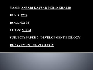 NAME: ANSARI KAUSAR MOHD KHALID
ID NO: 7763
ROLL NO: 08
CLASS: MSC-I
SUBJECT: PAPER-2 (DEVELOPMENT BIOLOGY)
DEPARTMENT OF ZOOLOGY
 