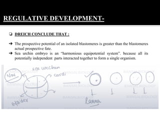 Mosaic and Regulate Development | PDF