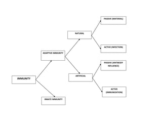 IMMUNITY
NATURAL
INNATE IMMUNITY
ADAPTIVE IMMUNITY
ACTIVE
(IMMUNIZATION)
ACTIVE (INFECTION)
PASSIVE (MATERIAL)
ARTIFICIAL
PASSIVE (ANTIBODY
INFLUENCE)
 