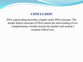 Supercoiling of DNA 