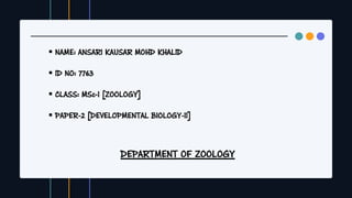  NAME: ANSARI KAUSAR MOHD KHALID
 ID NO: 7763
 CLASS: MSc-I [ZOOLOGY]
 PAPER-2 [DEVELOPMENTAL BIOLOGY-II]
DEPARTMENT OF ZOOLOGY
 