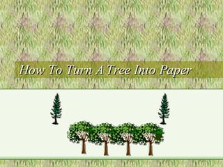 How To Turn A Tree Into Paper 