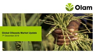 7th December 2019
Global Oilseeds Market Update
 