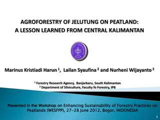 AGROFORESTRY OF JELUTUNG ON PEATLAND:
    A LESSON LEARNED FROM CENTRAL KALIMANTAN




Marinus Kristiadi Harun 1, Lailan Syaufina 2 and Nurheni Wijayanto 2

              1   Forestry Research Agency, Banjarbaru, South Kalimantan
                    2 Department of Silviculture, Faculty fo Forestry, IPB




 Presented in the Workshop on Enhancing Sustainability of Forestry Practices on
           Peatlands (WESFPP), 27-28 June 2012, Bogor, INDONESIA
                                                                              1
 