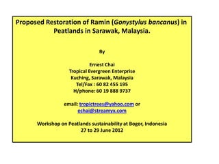 Proposed Restoration of Ramin (Gonystylus bancanus) in
           Peatlands in Sarawak, Malaysia.

                                By

                             Ernest Chai
                   Tropical Evergreen Enterprise
                    Kuching, Sarawak, Malaysia
                      Tel/Fax : 60 82 455 195
                     H/phone: 60 19 888 9737

                 email: tropictrees@yahoo.com or
                       echai@streamyx.com

      Workshop on Peatlands sustainability at Bogor, Indonesia
                       27 to 29 June 2012
 