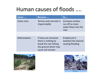 Human causes of floods ....
Cause .... Because .... So....
Urban area Tarmac and concrete is
impermeable
Increases surface
run off so more
water flows into the
river
Deforestation If trees are removed
there is nothing to
break the rain hitting
the ground which may
cause soil erosion
Eroded soil is
washed into channel
causing flooding
 