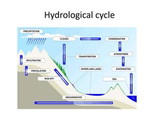 Hydrological cycle
 