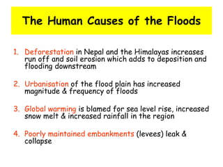 The Human Causes of the Floods
1. Deforestation in Nepal and the Himalayas increases
run off and soil erosion which adds to deposition and
flooding downstream
2. Urbanisation of the flood plain has increased
magnitude & frequency of floods
3. Global warming is blamed for sea level rise, increased
snow melt & increased rainfall in the region
4. Poorly maintained embankments (levees) leak &
collapse
 