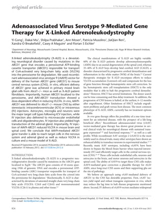original article © The American Society of Gene & Cell Therapy
X-linked adrenoleukodystrophy (X-ALD) is a devastat-
ing neurological disorder caused by mutations in the
ABCD1 gene that encodes a peroxisomal ATP-binding
cassette transporter (ABCD1) responsible for transport
of CoA-activated very long-chain fatty acids (VLCFA)
into the peroxisome for degradation. We used recombi-
nant adenoassociated virus serotype 9 (rAAV9) vector for
delivery of the human ABCD1 gene (ABCD1) to mouse
central nervous system (CNS). In vitro, efficient delivery
of ABCD1 gene was achieved in primary mixed brain
glial cells from Abcd1−/− mice as well as X-ALD patient
fibroblasts. Importantly, human ABCD1 localized to the
peroxisome, and AAV-ABCD1 transduction showed a
dose-dependent effect in reducing VLCFA. In vivo, AAV9-
ABCD1 was delivered to Abcd1−/− mouse CNS by either
stereotactic intracerebroventricular (ICV) or intravenous
(IV) injections. Astrocytes, microglia and neurons were
the major target cell types following ICV injection, while
IV injection also delivered to microvascular endothelial
cells and oligodendrocytes. IV injection also yielded high
transduction of the adrenal gland. Importantly, IV injec-
tion of AAV9-ABCD1 reduced VLCFA in mouse brain and
spinal cord. We conclude that AAV9-mediated ABCD1
gene transfer is able to reach target cells in the nervous
system and adrenal gland as well as reduce VLCFA in
culture and a mouse model of X-ALD.
Received 29 September 2014; accepted 29 December 2014; advance online
publication 10 February 2015. doi:10.1038/mt.2015.6
INTRODUCTION
X-linked adrenoleukodystrophy (X-ALD) is a progressive neu-
rodegenerative disorder caused by mutations in the ABCD1 gene
localized to Xq28.1
The ABCD1 gene consists of 10 exons span-
ning 19 kb of genomic DNA and encodes a peroxisomal ATP-
binding cassette (ABC) transporter responsible for transport of
CoA-activated very long-chain fatty acids from the cytosol into
the peroxisome for degradation.1
Biochemically, X-ALD is char-
acterized by elevations of saturated straight chain very long-chain
fatty acids (VLCFA: C24:0 and C26:0) and monounsaturated
VLCFA (C26:1) in plasma and other tissue.2,3
The clinical manifestations of X-ALD are highly variable.
60% of the X-ALD patients develop adrenomyeloneuropathy
(AMN) due to an axonal degeneration of the spinal cord, whereas
35–40% of X-ALD boys develop fatal cerebral ALD (CALD), a
disorder characterized by progressive cerebral demyelination and
inflammation in the white matter (WM) of the brain.4,5
Current
therapeutic strategies for X-ALD encompass efforts to reduce
VLCFA accumulation (Lorenzo’s oil) and compensate for the loss
of gene function through hematopoietic stem cell correction. So
far, hematopoetic stem cell transplantation (HSCT) is the only
modality that is able to halt the progressive cerebral demyelin-
ation.6
However, HSCT has several limitations. The donor search
can be time consuming and thus delay treatment. In addition, the
progression of CNS lesions is halted, at the earliest, 6–12 months
after engraftment. Other limitations of HSCT include engraft-
ment problems and graft-versus-host disease. The most common
phenotype of X-ALD, AMN, currently has no treatment options
available.
In vivo gene therapy offers the possibility of a one-time treat-
ment for an inherited disease, with the prospect of a life-long
beneficial effect.7
Recombinant adenoassociated virus (rAAV)
vector-mediated gene therapy has shown great promise in sev-
eral clinical trials for neurological disease with sustained trans-
gene expression8–10
and functional response,11,12
as well as a safe
profile. While recombinant AAV serotype 2 (rAAV2) is the most
widely used in clinical trials, many other serotypes have shown an
enhanced ability to transduce neurons in experimental studies.13–15
Recently, many AAV serotypes, including rAAV9, have been
shown to bypass the blood–brain barrier when injected intrave-
nously (IV) and efficiently target cells in the central nervous sys-
tem (CNS).16–18
These cells include endothelial cells, neurons and
astrocytes in the brain, and motor neurons and astrocytes in the
spinal cord. The ability of AAV9 to target these CNS cells makes
AAV9-mediated gene correction a plausible therapy for ALD/
AMN, since long-tract CNS axons and their supporting glia are
the site of pathology.
We believe an approach using rAAV-mediated delivery of
ABCD1 to the CNS has desirable properties. First, rAAV vec-
tors yield rapid and robust transgene expression in vivo, which
may reduce the lag time to halt disease progression mentioned
above. Second, IV delivery of rAAV9 vectors mediates widespread
Correspondence: Florian Eichler, Department of Neurology, Massachusetts General Hospital, 55 Fruit Street, ACC 708, Boston, Massachusetts 02114,
USA. E-mail: feichler@partners.org
Adenoassociated Virus Serotype 9-Mediated Gene
Therapy for X-Linked Adrenoleukodystrophy
Yi Gong1
, Dakai Mu1
, Shilpa Prabhakar1
, Ann Moser2
, Patricia Musolino1
, JiaQian Ren1
,
Xandra O Breakefield1
, Casey A Maguire1
and Florian S Eichler1
1
Department of Neurology, Massachusetts General Hospital, Boston, Massachusetts, USA; 2
Peroxisome Disease Lab, Hugo W Moser Research Institute,
Baltimore, Maryland, USA
824 www.moleculartherapy.org  vol. 23 no. 5, 824–834 may 2015
 