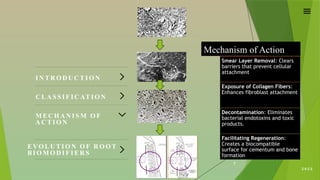 2 0 2 2
7
IN TR O D U C TI O N
C LA SS IF IC ATIO N
M EC H A N ISM O F
A C T IO N
EVOLU TIO N O F R O O T
BIO M O D IFIE R S
Mechanism of Action
Smear Layer Removal: Clears
barriers that prevent cellular
attachment
Exposure of Collagen Fibers:
Enhances fibroblast attachment
Decontamination: Eliminates
bacterial endotoxins and toxic
products.
Facilitating Regeneration:
Creates a biocompatible
surface for cementum and bone
formation
 