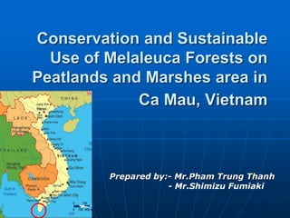 Conservation and Sustainable
  Use of Melaleuca Forests on
Peatlands and Marshes area in
             Ca Mau, Vietnam



         Prepared by:- Mr.Pham Trung Thanh
                     - Mr.Shimizu Fumiaki
 